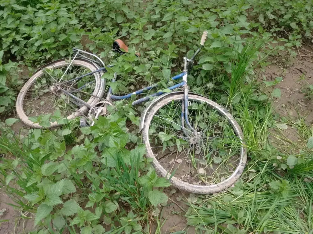 bibicleta 1 1 scaled