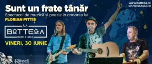 melodiile lui florian pittiș