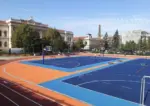 teren sport moise nicoara arad 1 scaled