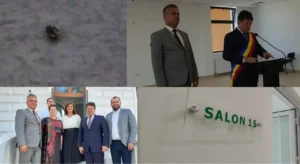 de la „căpâlnaș” la „oncologie”