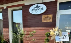 radacini arad 2 scaled