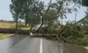 efectele codului roșu în municipiu