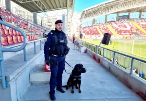 jandarmii descurajează comerțul ilegal