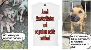 vino și tu