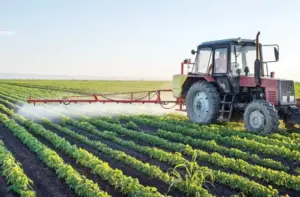 fermierii din sectorul vegetal vor