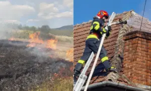 în ultimele cinci zile