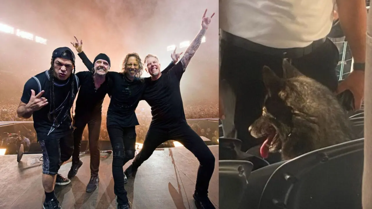„master of puppies”... Storm, cățelușa care „s-a strecurat” la concertul metallica 1 metallica