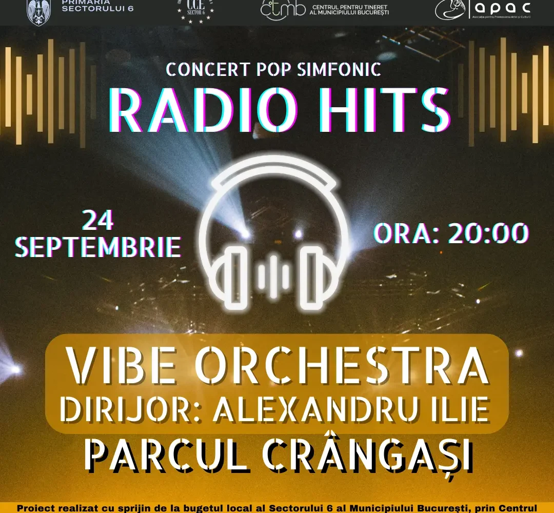 radio hits - concertul