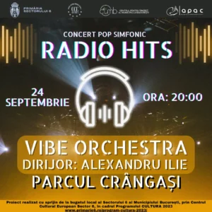 radio hits - concertul