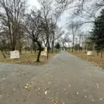 sculptură