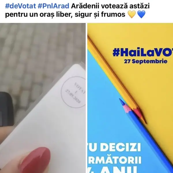director pp 11 arad pnl3