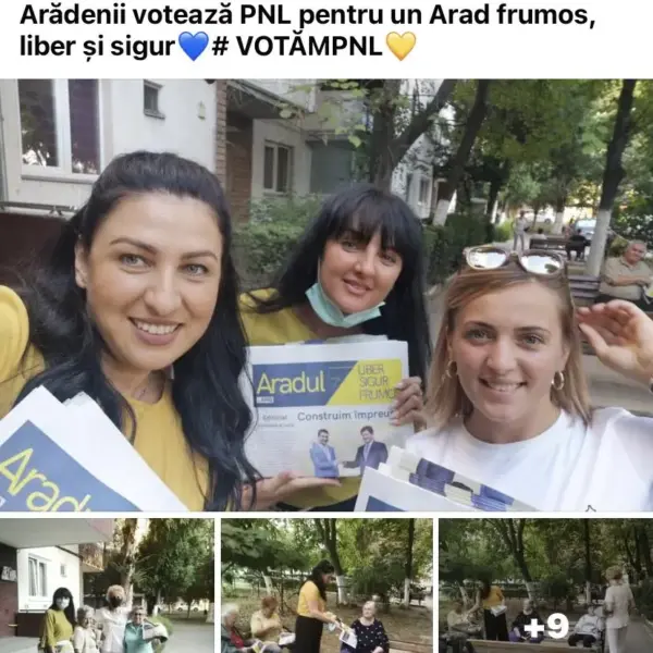 director pp 11 arad pnl5