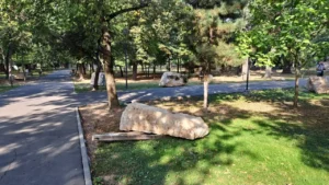 hub cultural marta organizează prima