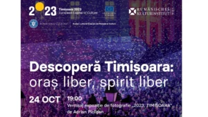 2023, timișoara: cele mai bune fotografii