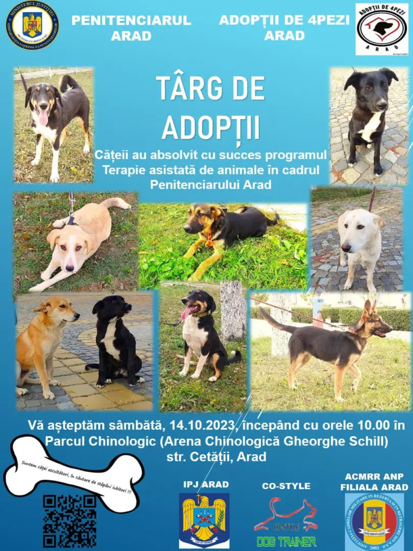 adoptii canine