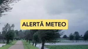 alertă anm
