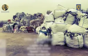 cei 7 inculpați reținuți