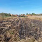 incendiu bulci1