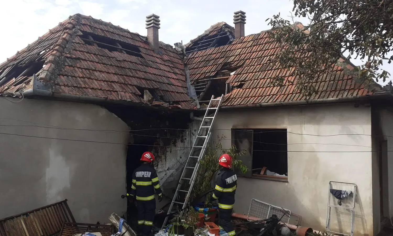 pompierii au intervenit să salveze