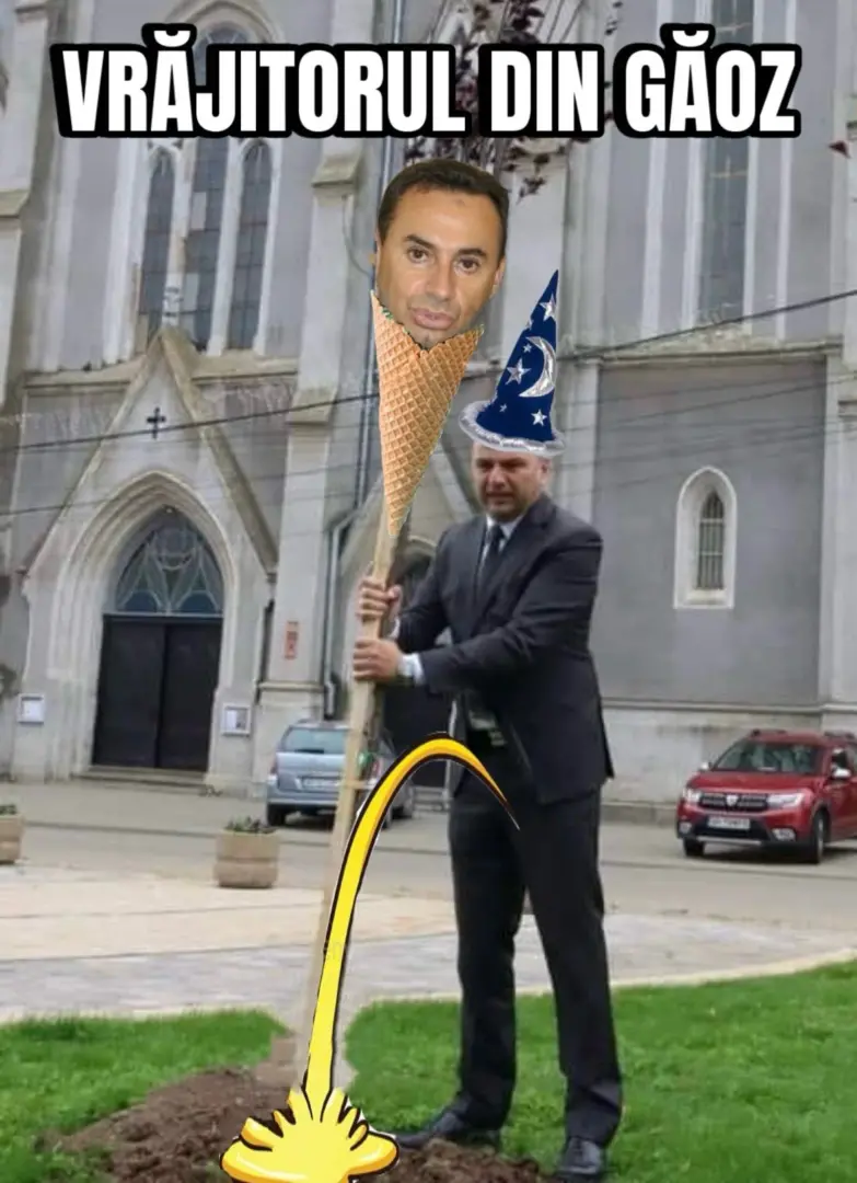 bilcea pom