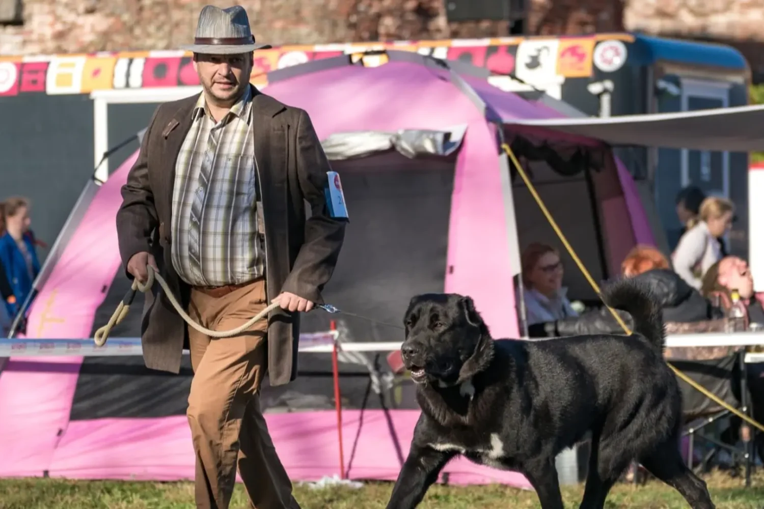 Halloween Dog Show