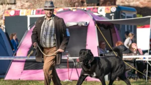 Halloween Dog Show