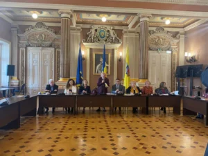 medicina tradițională chineză” - tema