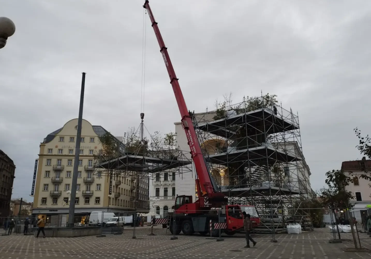 pepiniera. 1306 plante pentru timișoara”