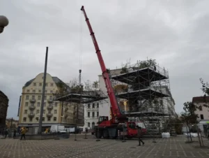 pepiniera. 1306 plante pentru timișoara”