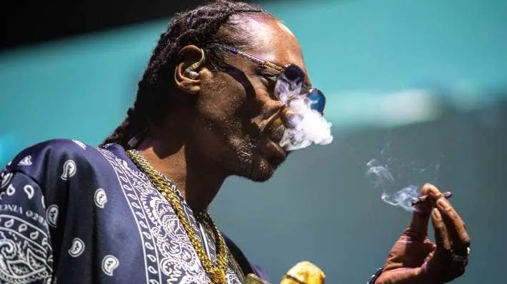 snoop