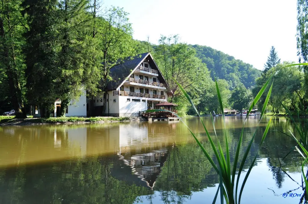 moneasa
