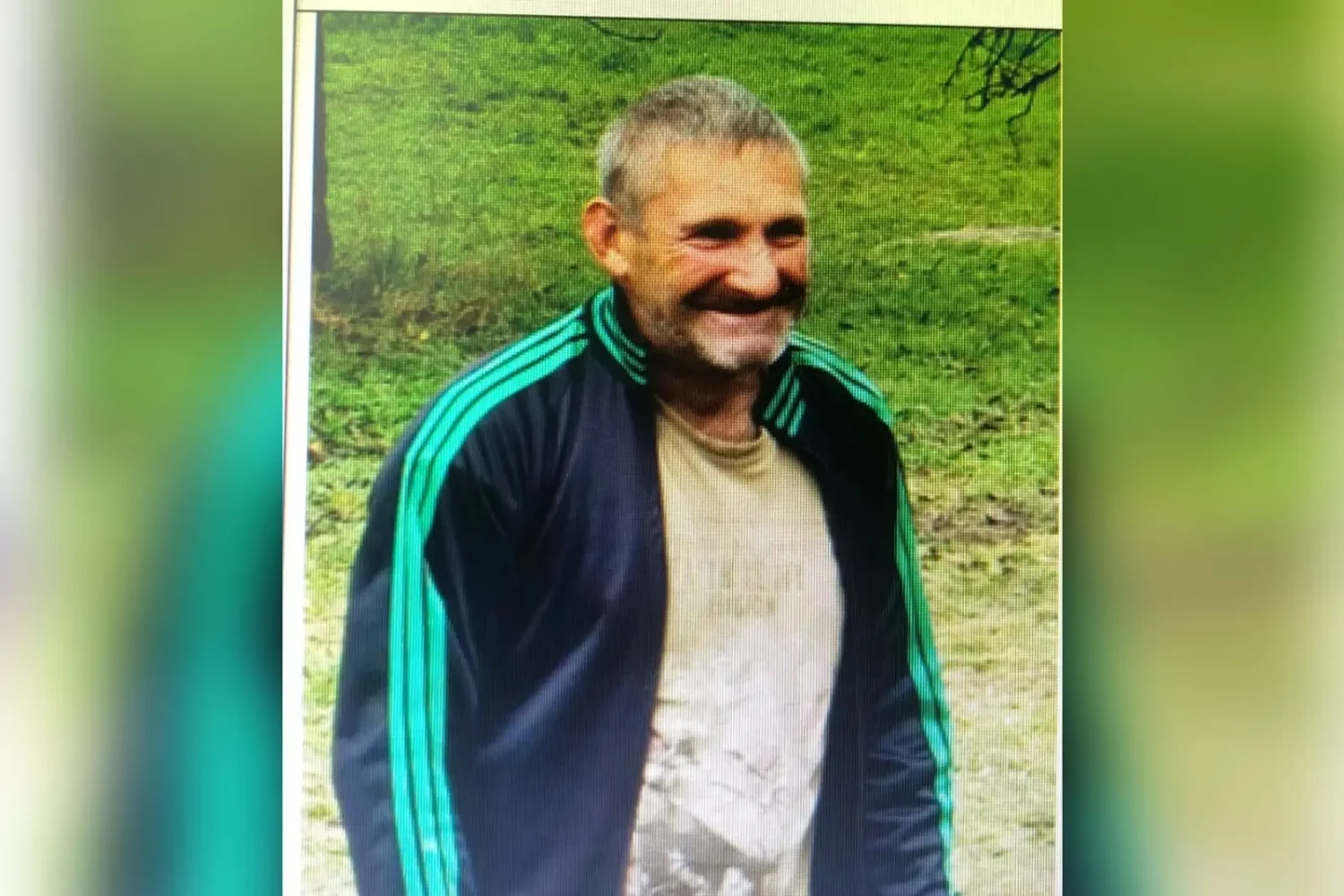 moțică gheorghe din hălmagiu a dispărut