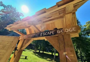 podul (astra poetic escape bridge)