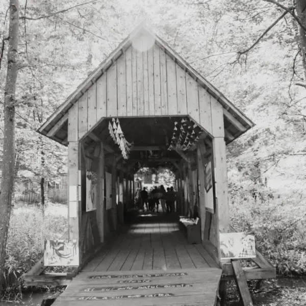 astra poetic escape bridge 2 xpb8 scaled
