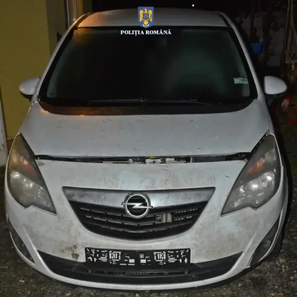 perchezitii vladi 1
