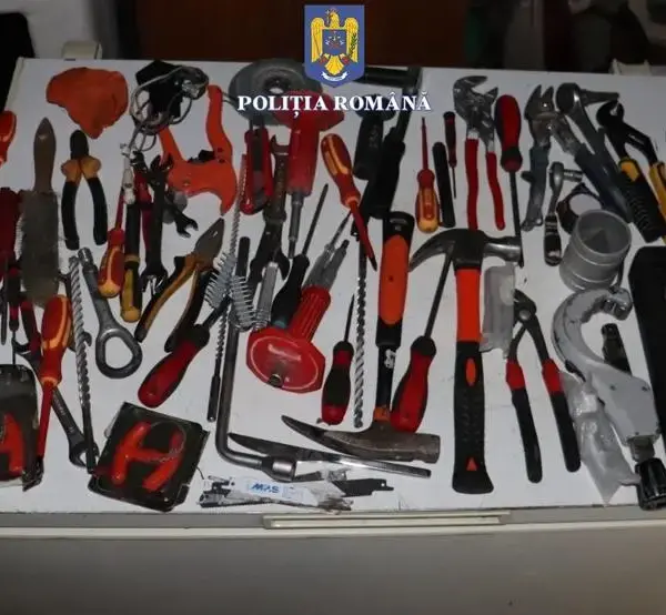 perchezitii vladi4