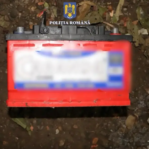 perchezitii vladi5