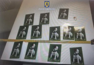 percheziții în arad într-un dosar