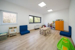 un proiect al dgaspc arad