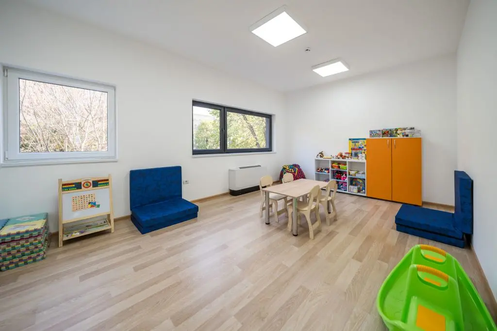 proiect dgaspc arad10