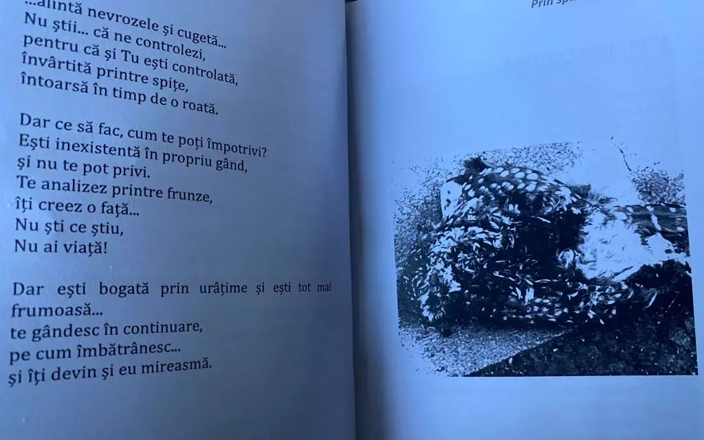balsam de sulf din carte