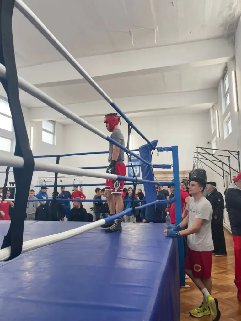basti box arad 4 scaled
