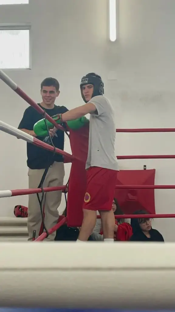 basti box arad 7 scaled