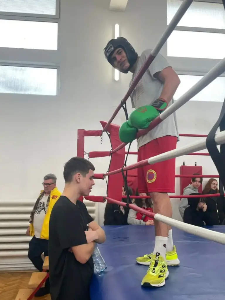 basti box arad 8 scaled