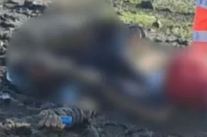 cadavrul unui bărbat de 21