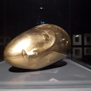 expozitie brancusi timisoara1