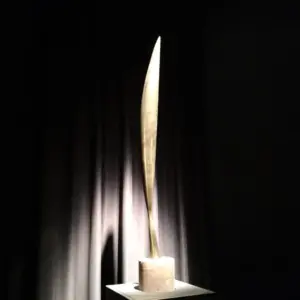 expozitie brancusi timisoara10