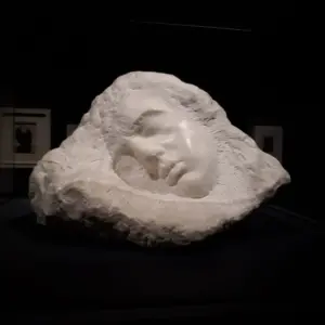 expozitie brancusi timisoara7