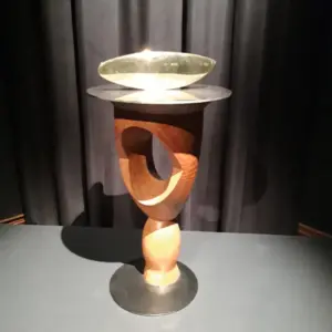 expozitie brancusi timisoara8