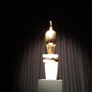 expozitie brancusi timisoara9